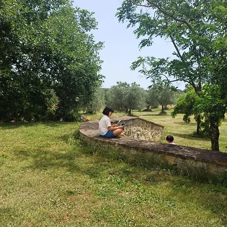 Holiday home Pietre Focaie - Campagna&relax Montemassi