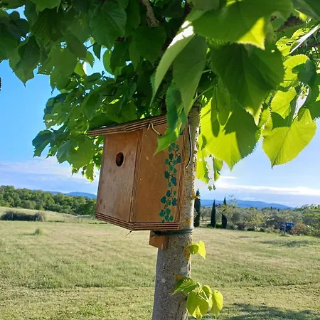 Pietre Focaie - Campagna&relax Holiday home Montemassi